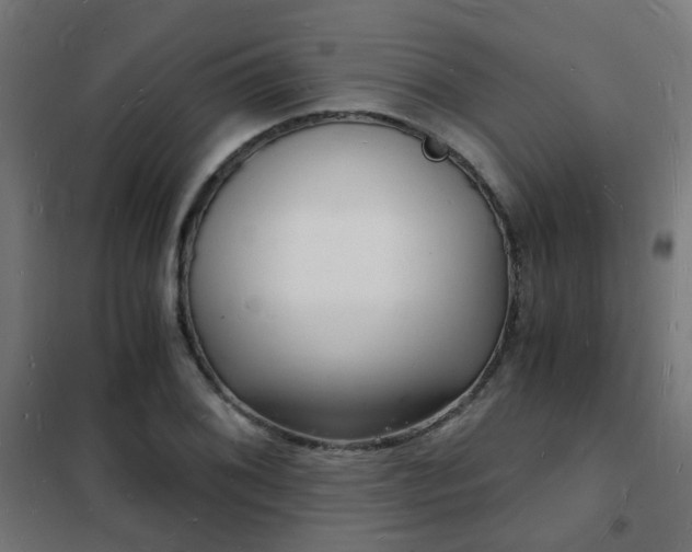 X0000102221076200807251205