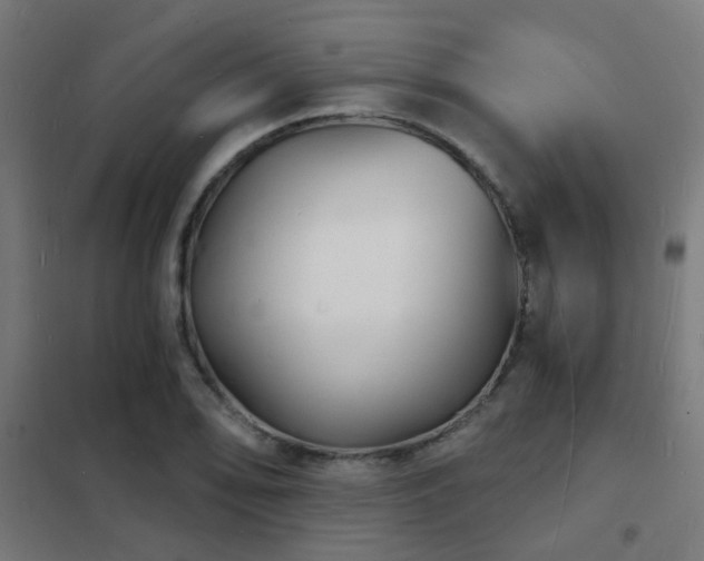 X0000102221078200807251205