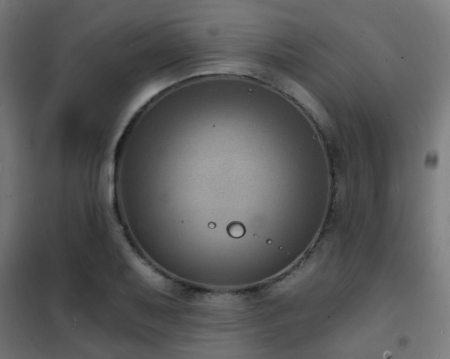 X0000102221079200807251205