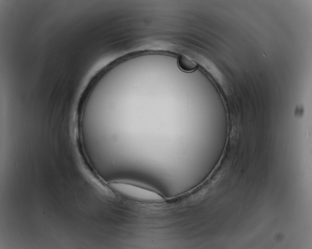 X0000102221080200807251205