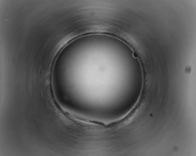 X0000102221081200807251205