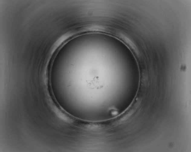 X0000102221082200807251205