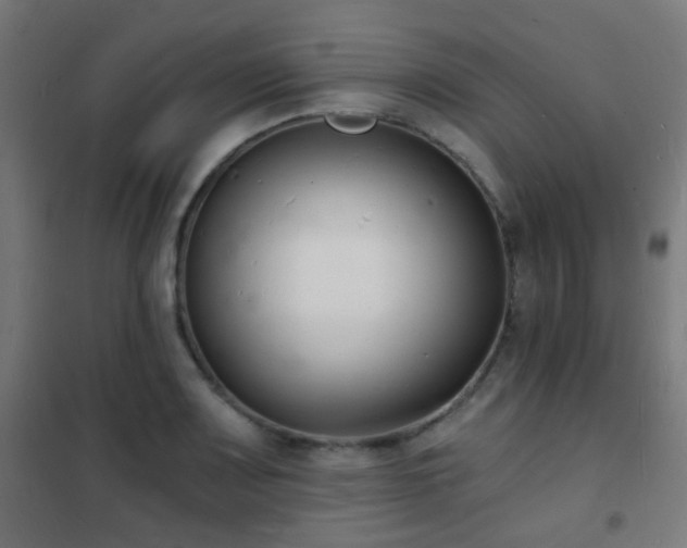 X0000102221083200807251205