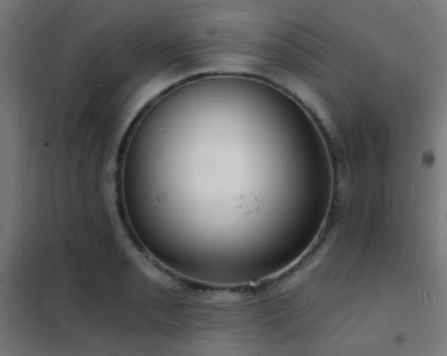 X0000102221085200807251205