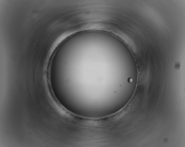 X0000102221086200807251205