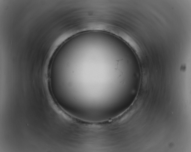 X0000102221088200807251205