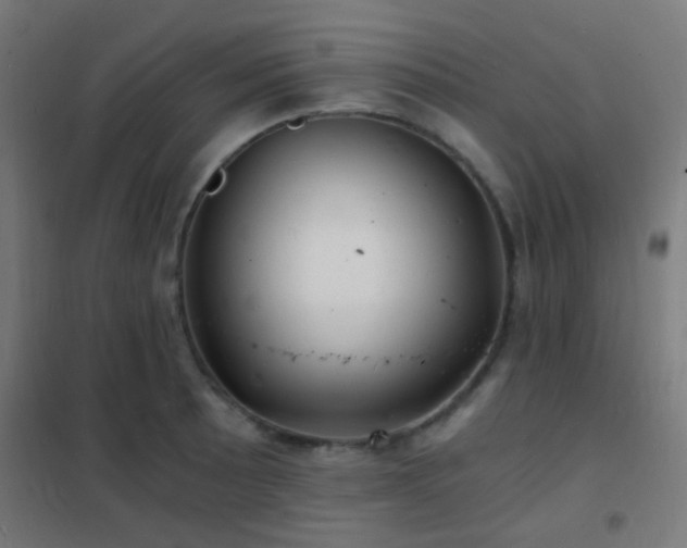 X0000102221089200807251205