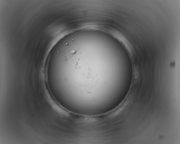 X0000102221090200807251205