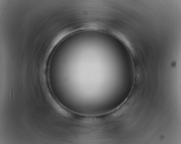 X0000102221091200807251205