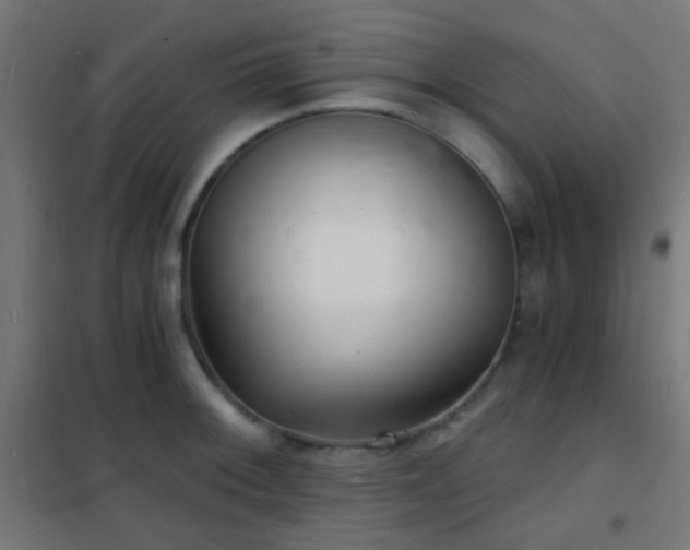 X0000102221092200807251205