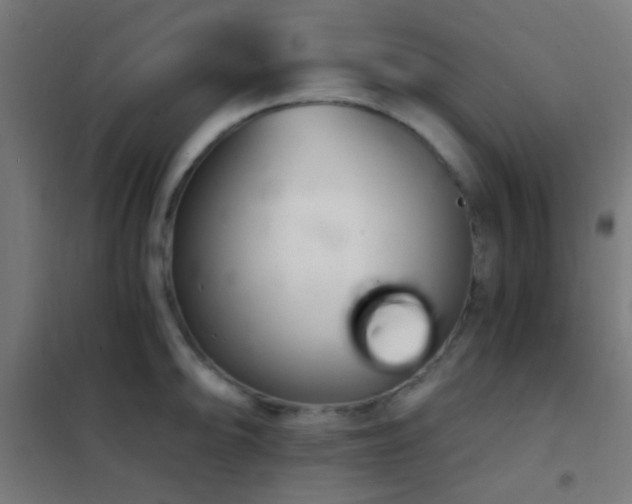 X0000102221094200807251205