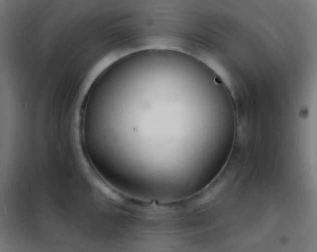 X0000102221096200807251205