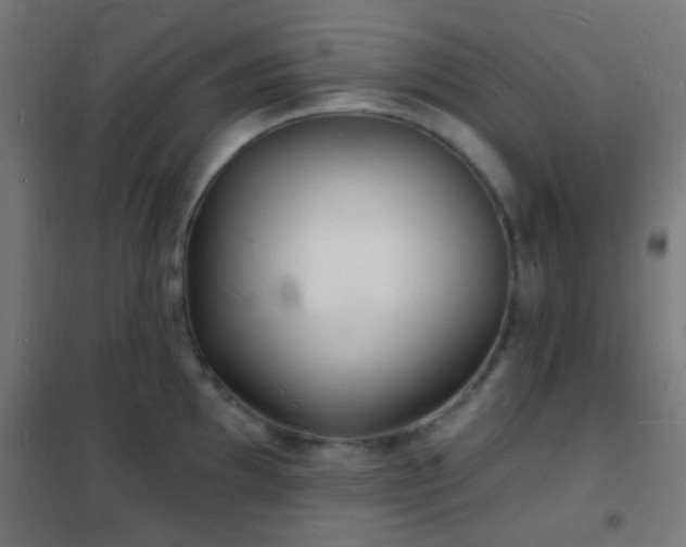 X0000102221097200807251205
