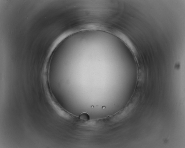 X0000102221098200807251205