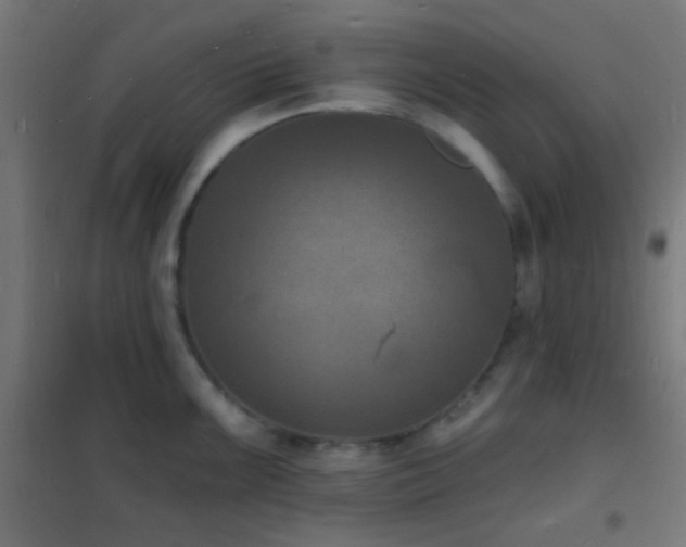 X0000102221099200807251205