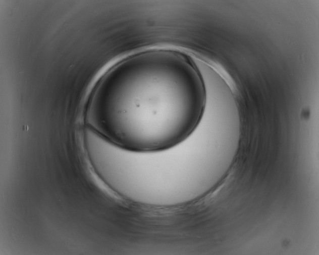 X0000102221100200807251205