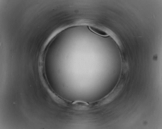 X0000102221101200807251205