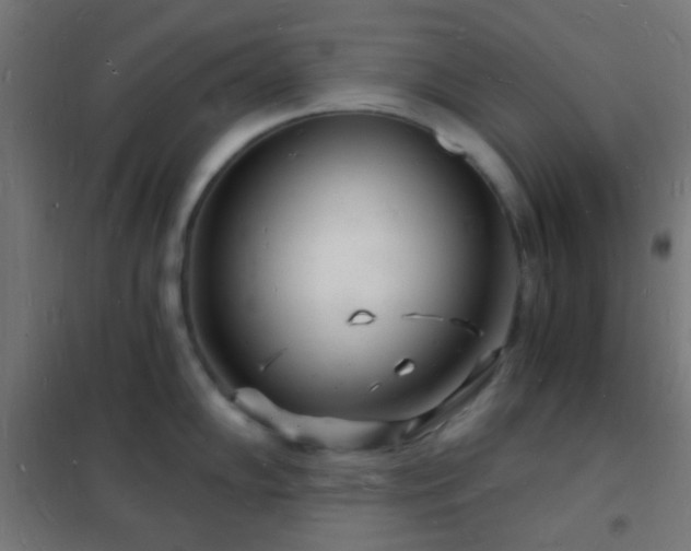 X0000102221102200807251205