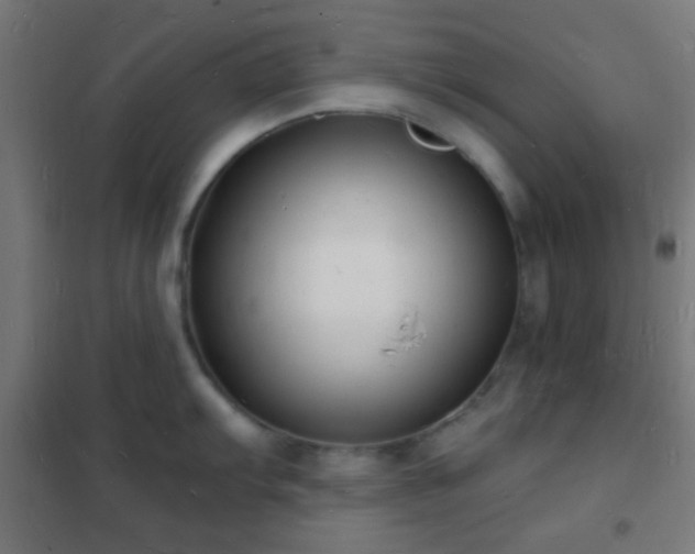 X0000102221103200807251205