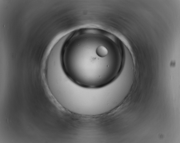 X0000102221104200807251205