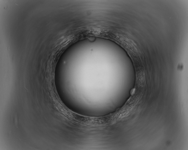 X0000102221105200807251204
