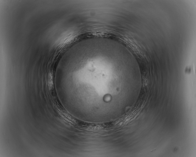 X0000102221106200807251204