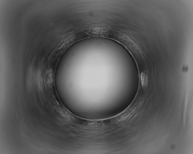 X0000102221107200807251204