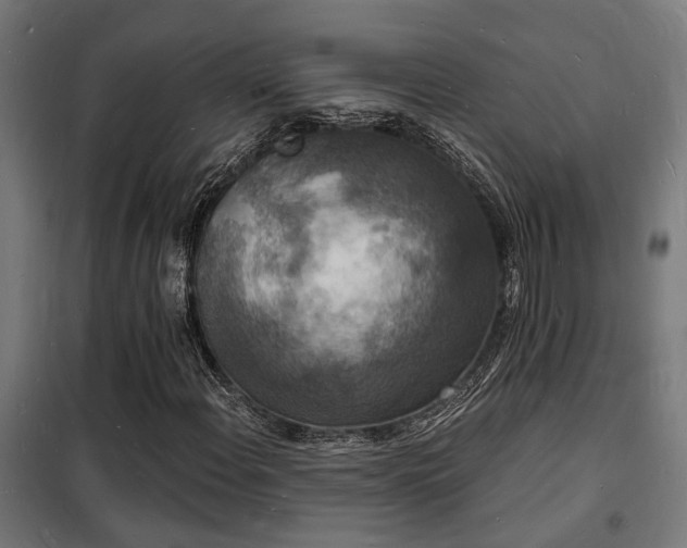 X0000102221108200807251204
