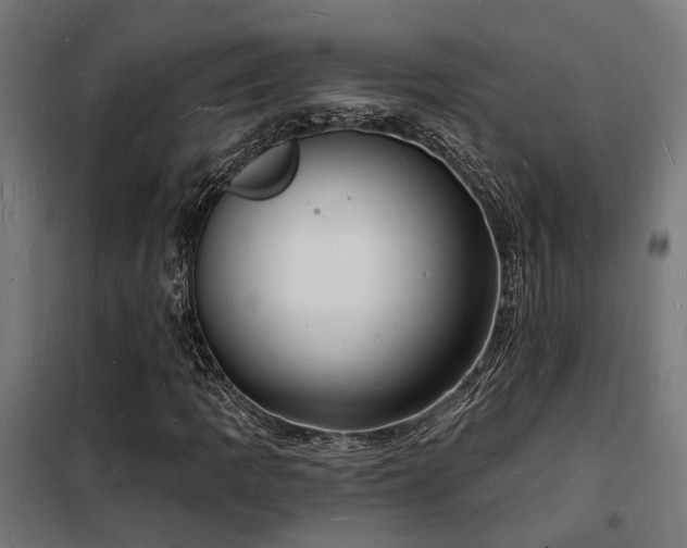 X0000102221109200807251204