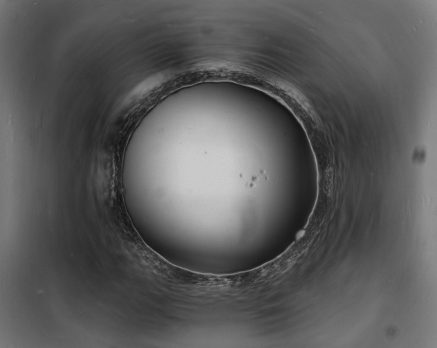 X0000102221111200807251204