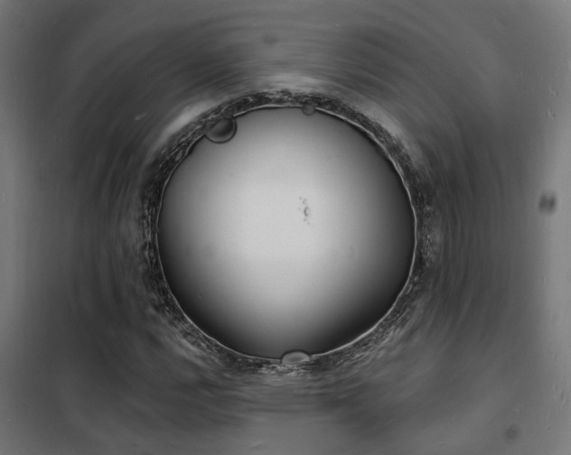 X0000102221112200807251204