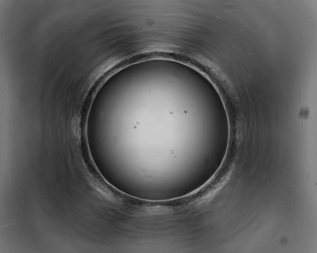 X0000102221113200807251204