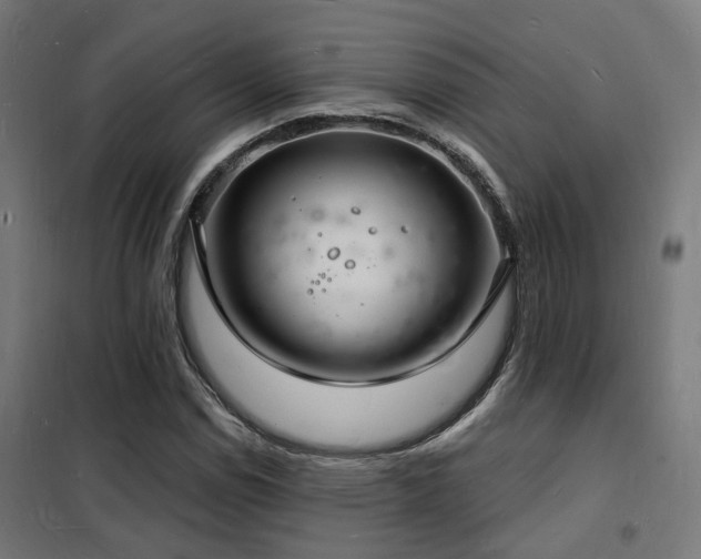 X0000102221114200807251204