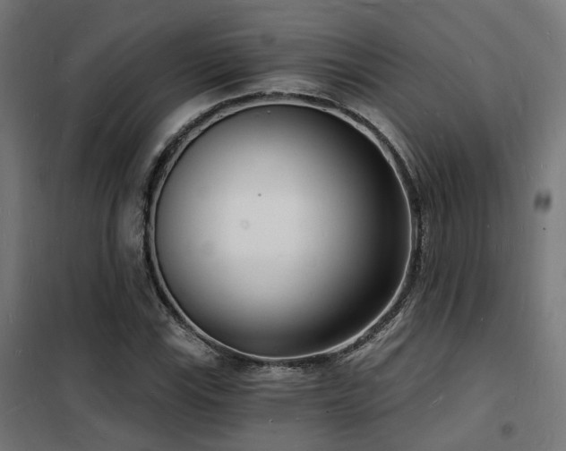 X0000102221115200807251204