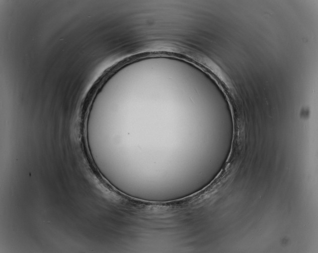 X0000102221116200807251204