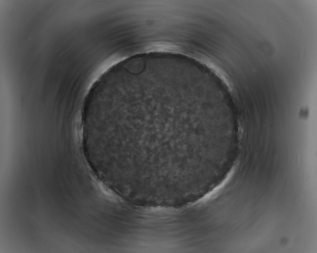X0000102221117200807251204