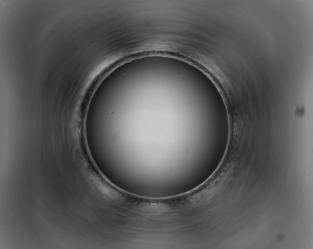 X0000102221119200807251204