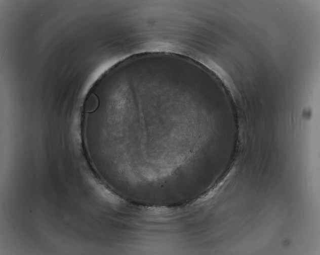 X0000102221120200807251204