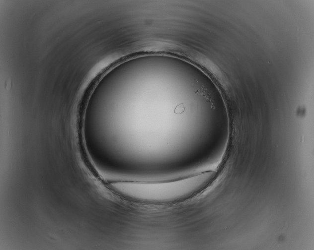 X0000102221122200807251204
