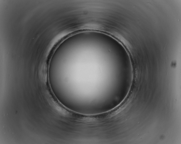 X0000102221123200807251204