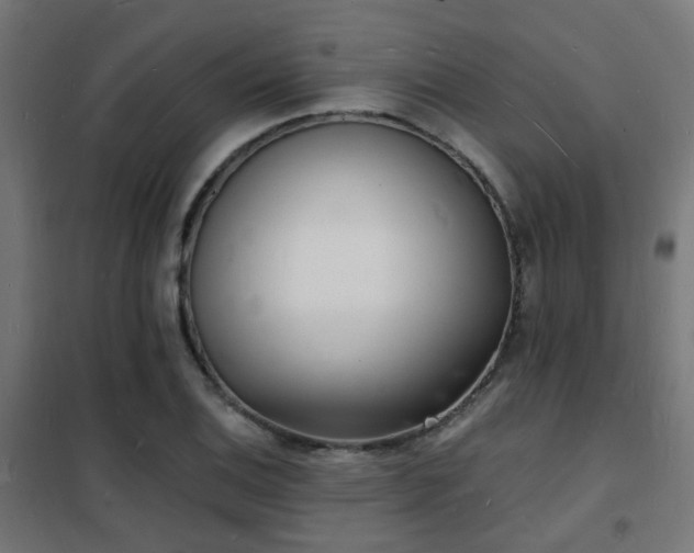 X0000102221124200807251204