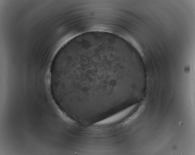 X0000102221125200807251204
