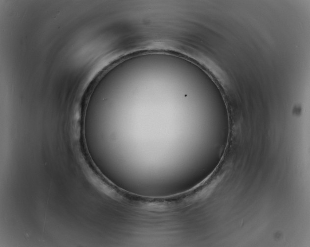 X0000102221126200807251204