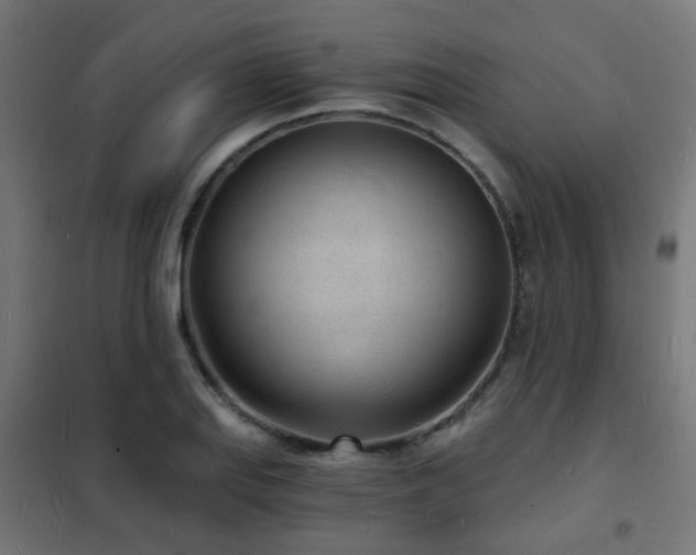 X0000102221127200807251204