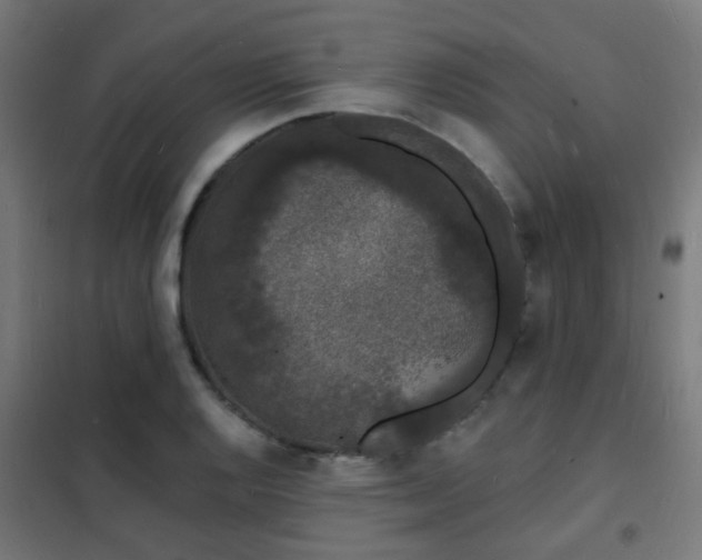 X0000102221128200807251204