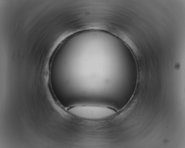 X0000102221132200807251204