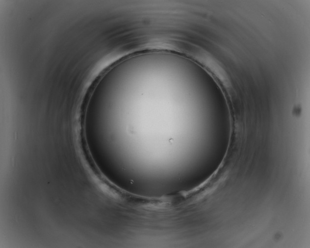 X0000102221133200807251204