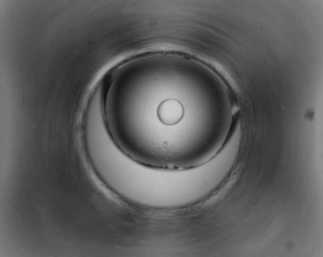 X0000102221134200807251204