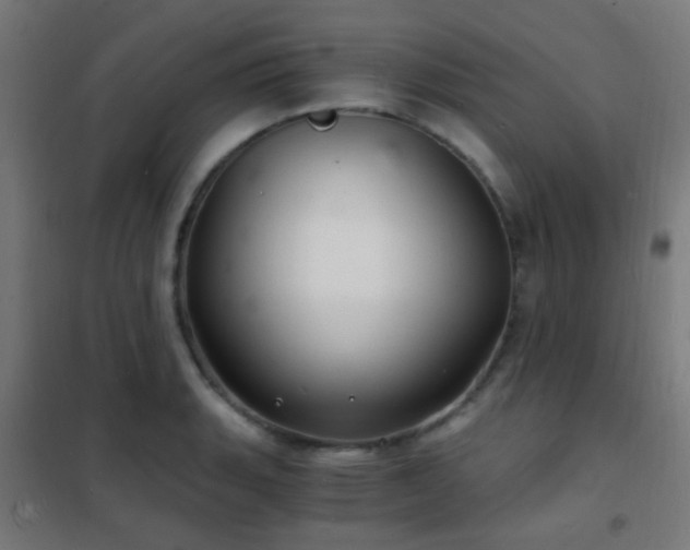 X0000102221135200807251204
