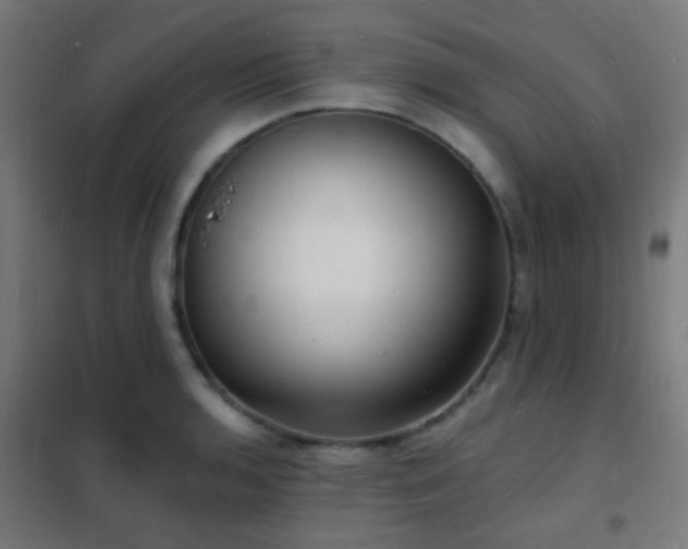 X0000102221136200807251204